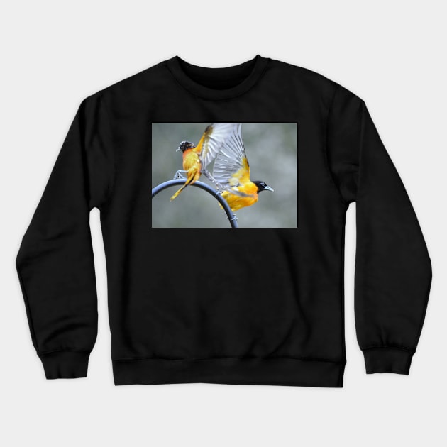 Active Orioles Crewneck Sweatshirt by LaurieMinor